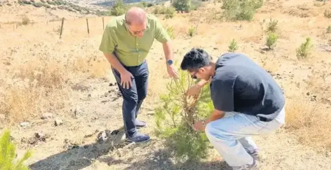 İKÇÜ Orman Fakültesi’nden Kuraklığa Karşı Bilimsel Çözüm: Su Hasadıyla Büyüme ve Nemde 2 Kat Artış